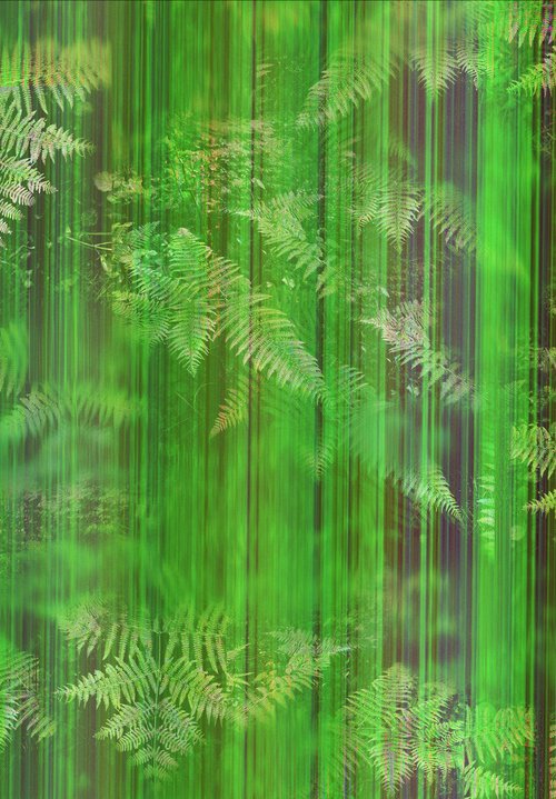 ABC#193 fresh forest #1 by Mattia Paoli