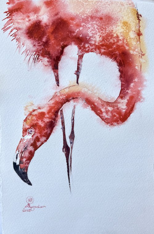 Flamingo by Larissa Rogacheva