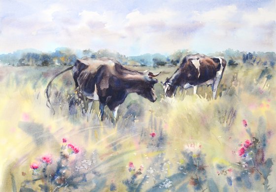 Two black and white cows in a meadow, Grazing animals, Peaceful landscape