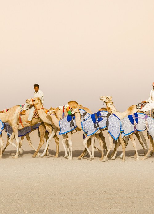 The Blue Caravan by Basel Almisshal