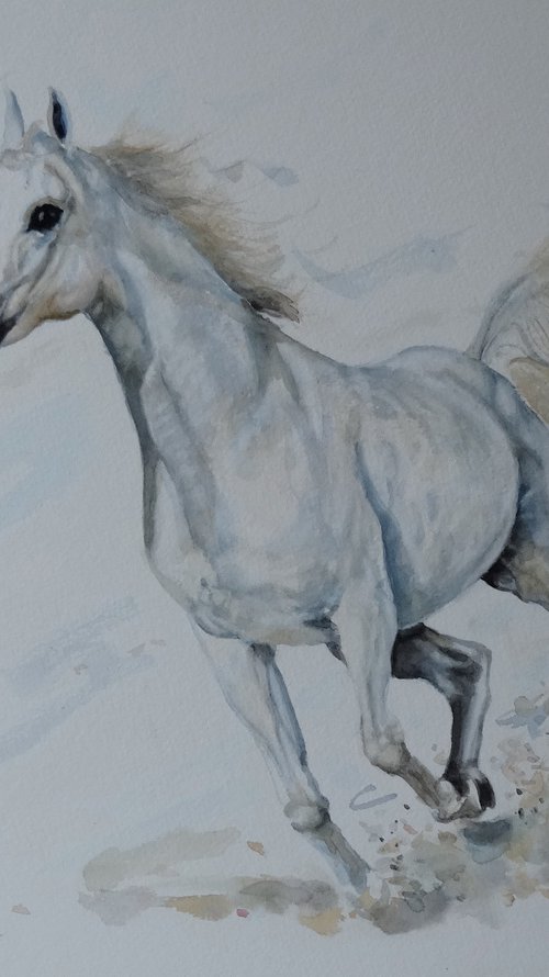 Horse 'Wild and Free' by Mel Davies Original Art