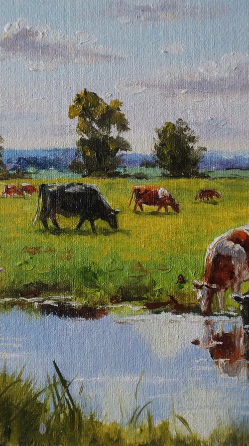 Cows by the River, Sunny Day by Natalia Shaykina