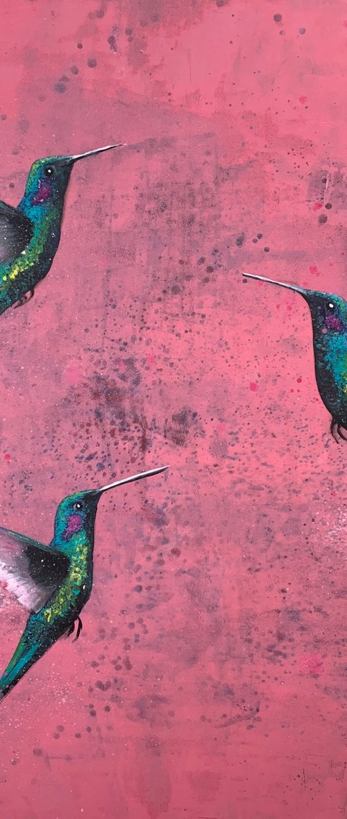 Flight Of The Hummingbird II by Laure Bury