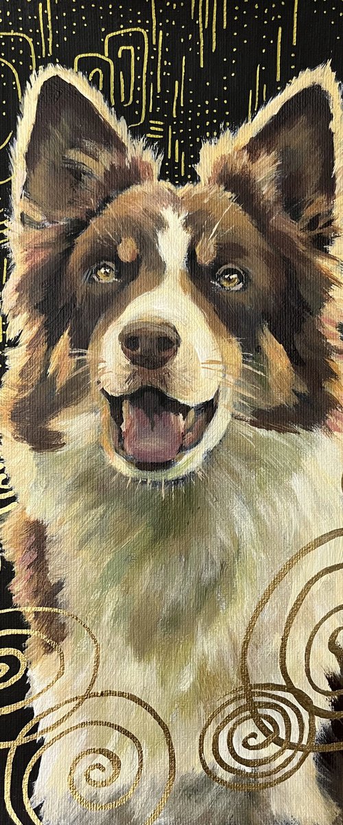 Border collie by Alona Vakhmistrova