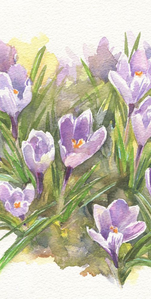 Violet crocuses / Early spring flowers Floral watercolor by Olha Malko