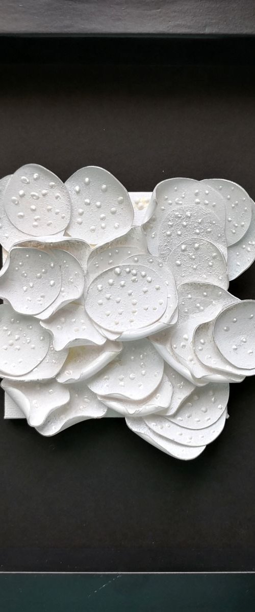 Let them live- 3 by Swapna Namboodiri