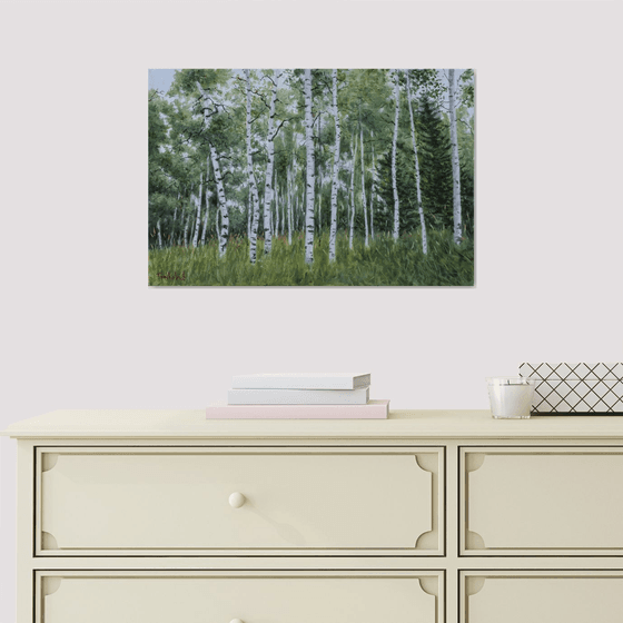 Birch Forest