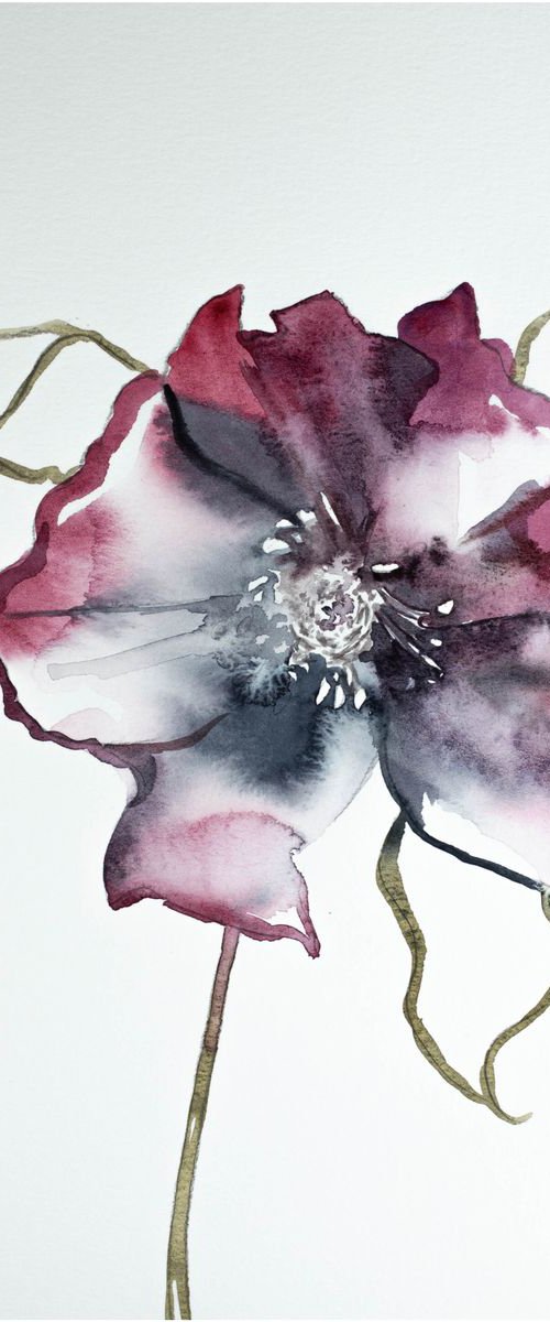 Hellebore No. 3 by Elizabeth Becker