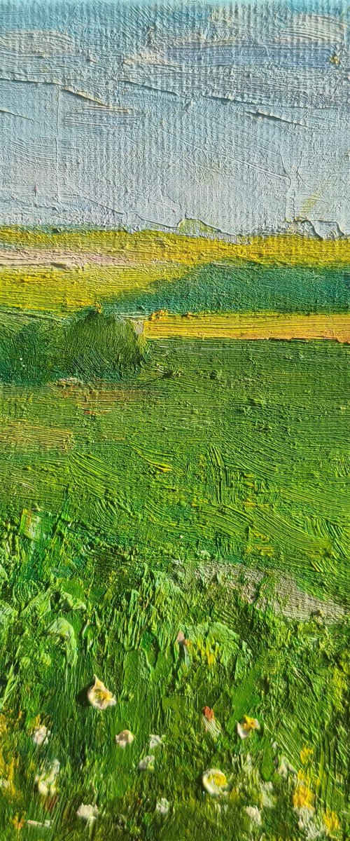 Field of wildflowers by Valentina Andrukhova