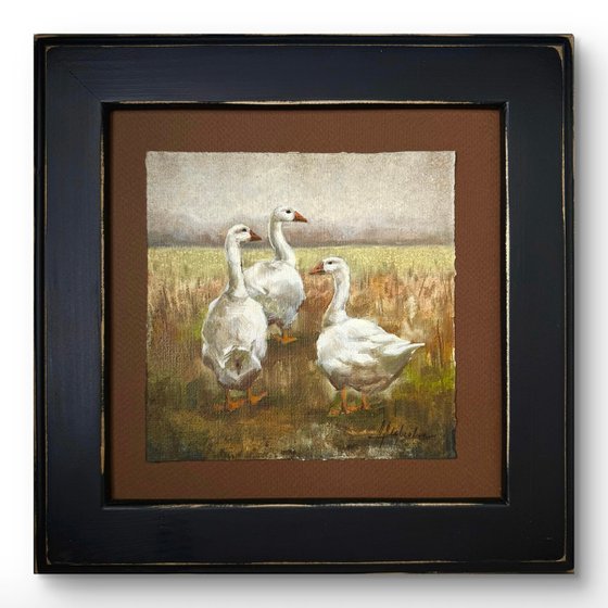 Geese