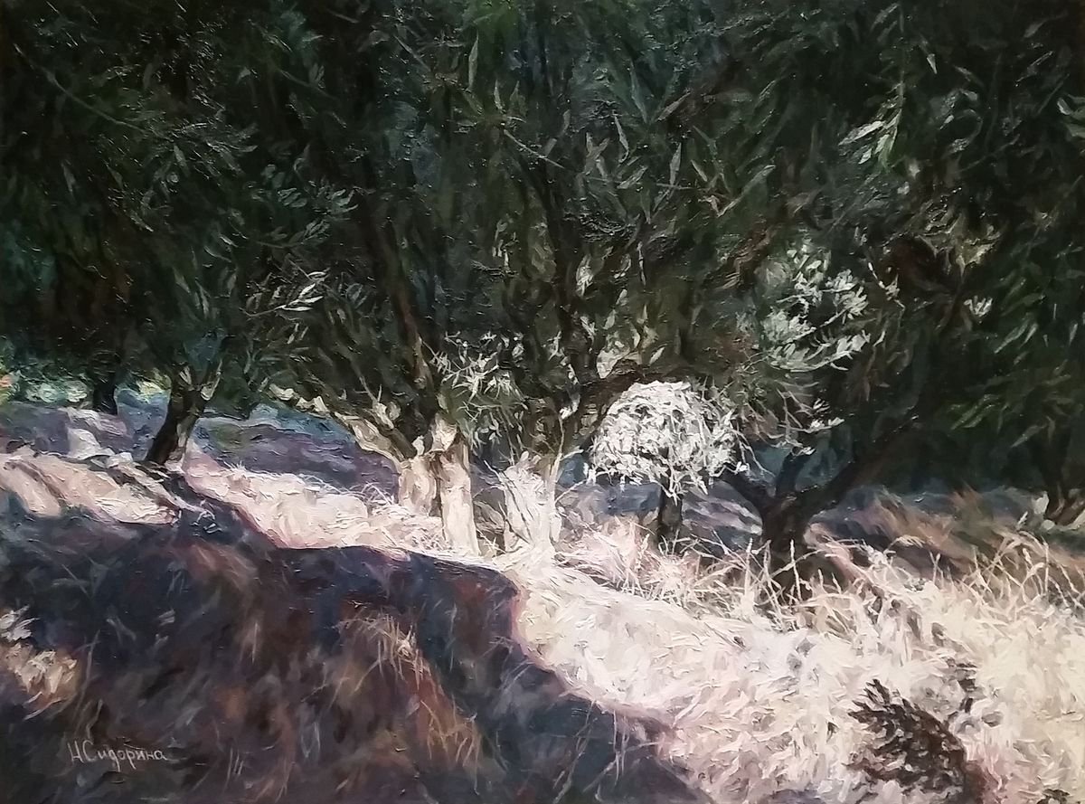 Impressionistic Landscape Oil Painting By Natalia Sidorina, 31 X 24", Olive Garden, Original Artwork