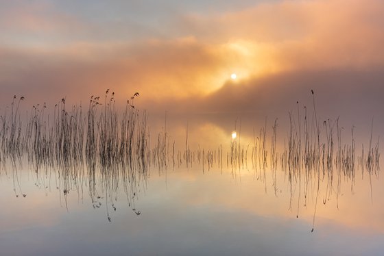 Silence III