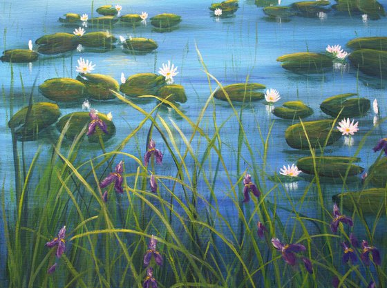 Serene lily pond