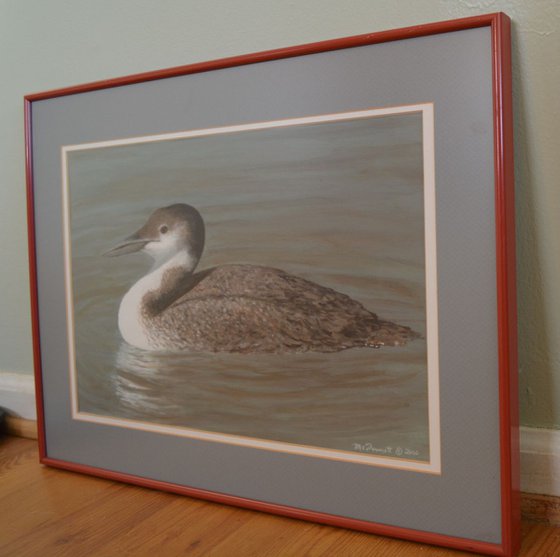 Winter Loon - framed 17X11 inch acrylic