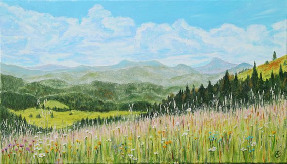 Carpathians, 70*40