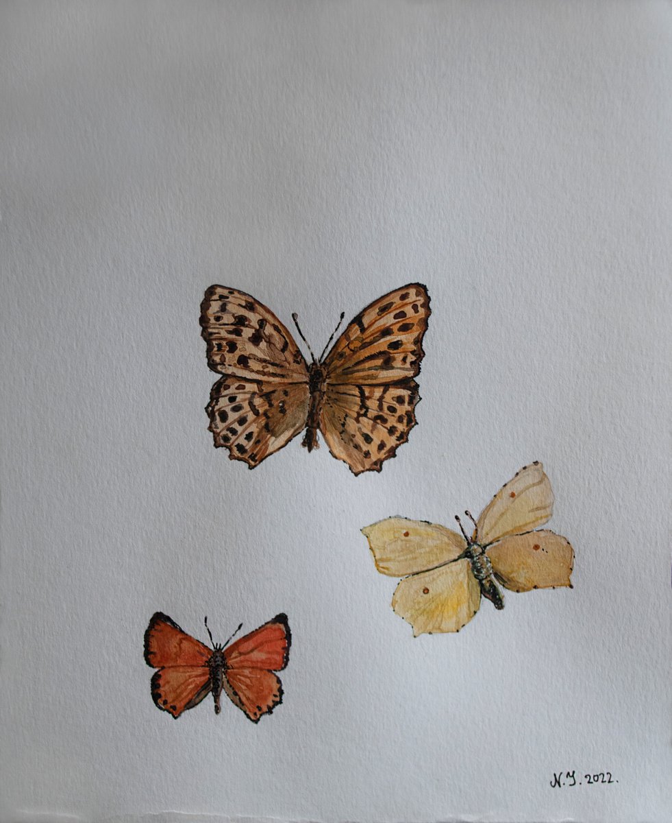Butterfly Trio II by Nikola Ivanovic