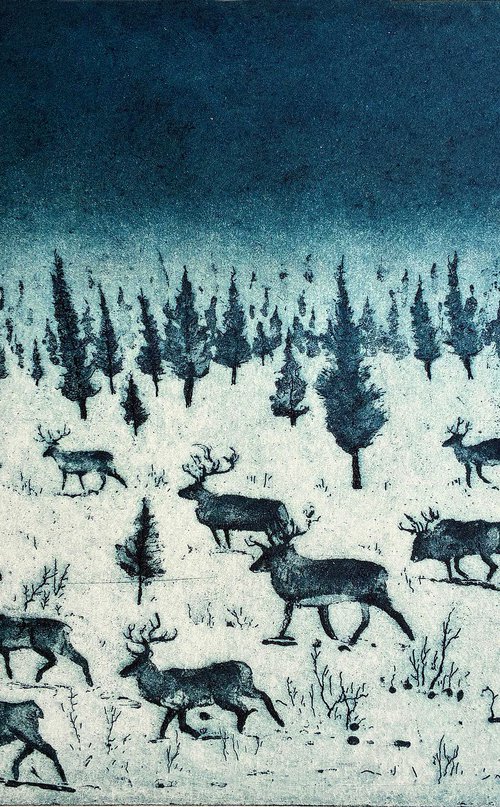 Where Reindeer Roam by Tim Southall