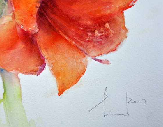 AMARYLLIS original watercolor 30X22