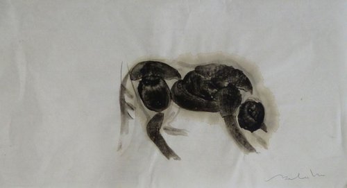 The Cat, ink painting on chinese paper, 32x17 cm by Frederic Belaubre