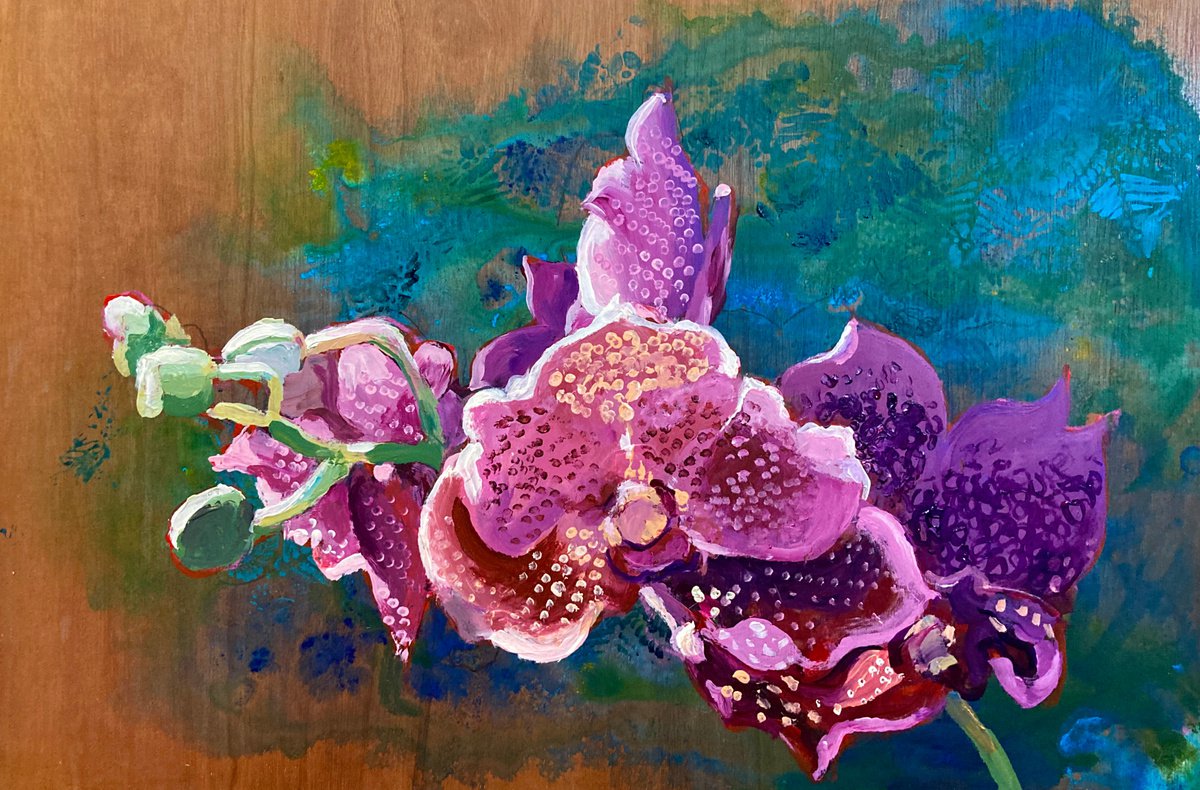 Morning orchid by John Cottee