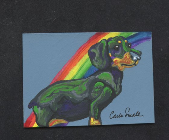 Rainbow Dachshund