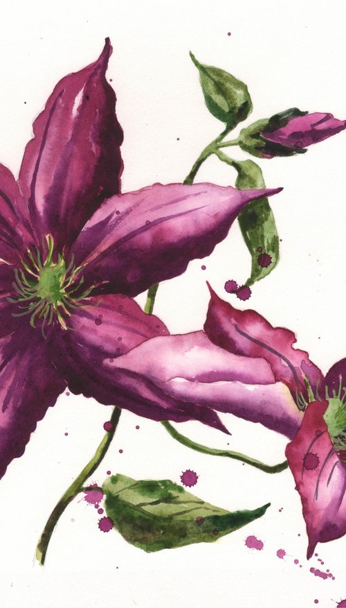 Clematis Class by Alison Fennell
