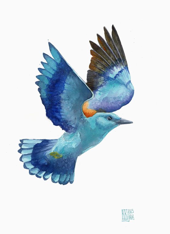 European roller