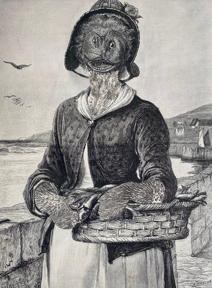 Surrealistic Portrait Collage By Tudor Evans, 7 X 9", Fishing, Original Artwork