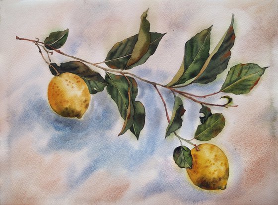Lemons - Mediterranean still life