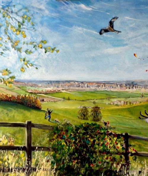 Crabs &amp; Kites over Oxford by Chris Walker