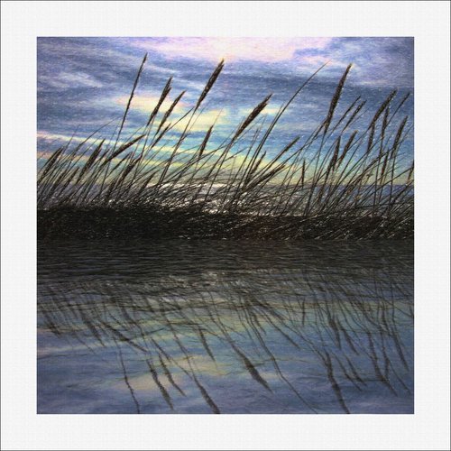 Reeds & Sunset by Martin  Fry