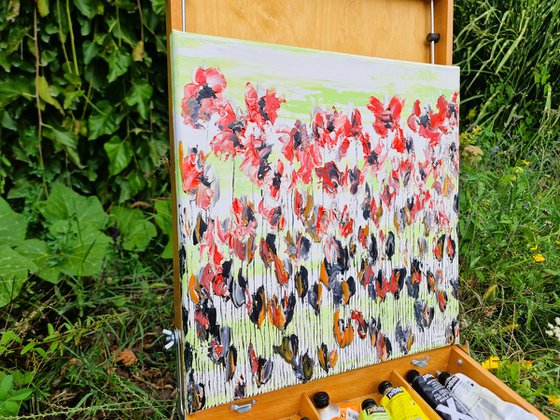 Poppy Flowers 2