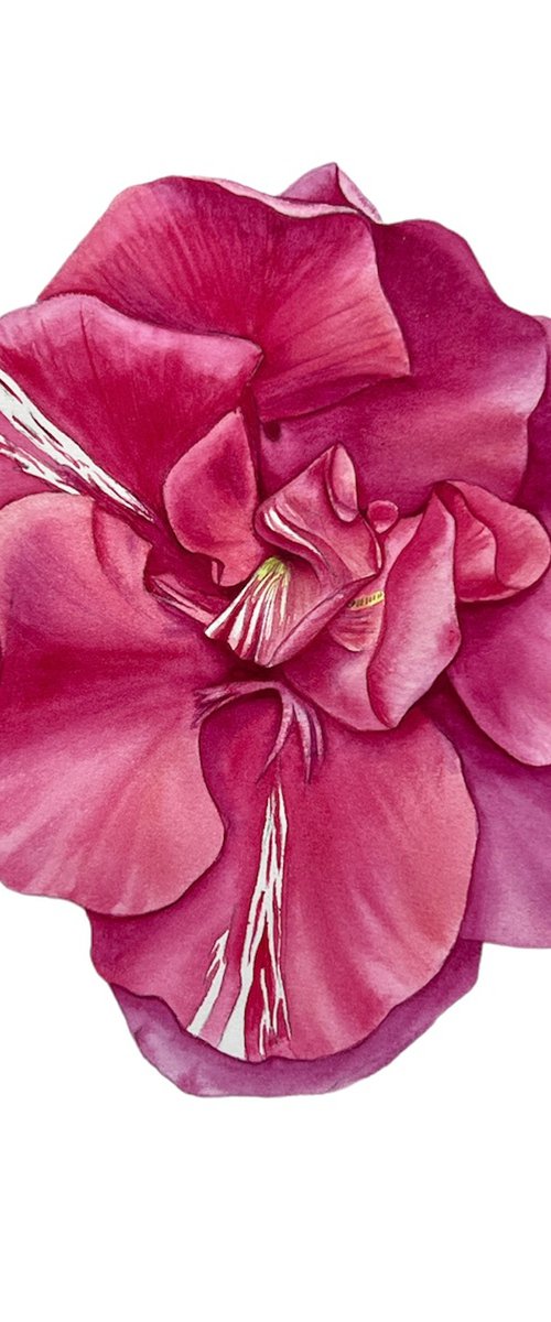 Pink oleander. Original watercolor artwork by Nataliia Kupchyk