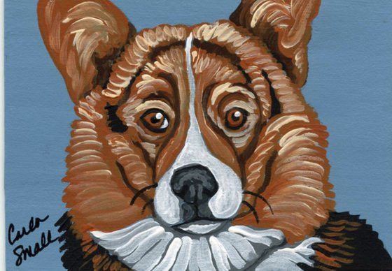 Pembroke Welsh Corgi