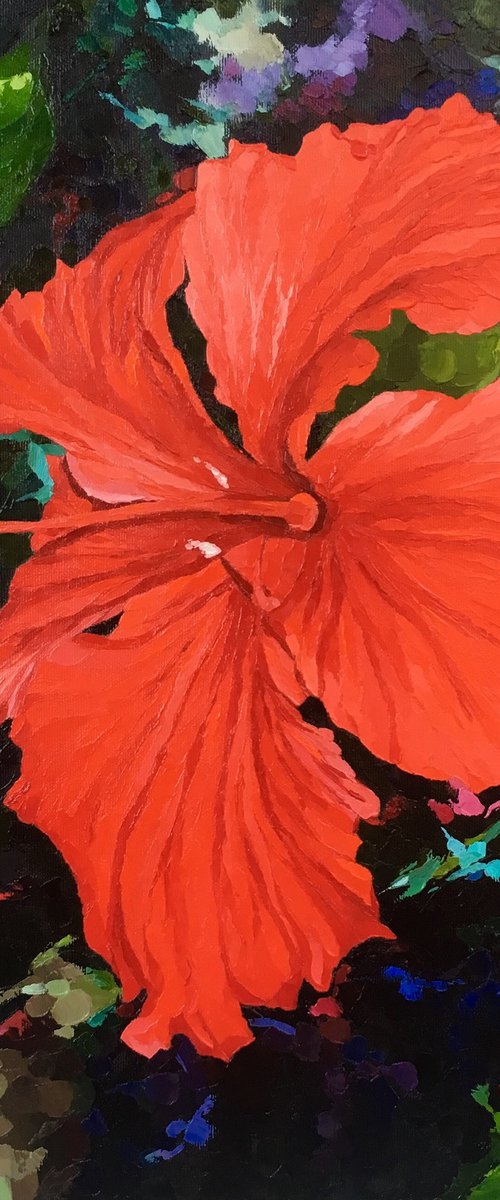 Coral by Ulyana Korol