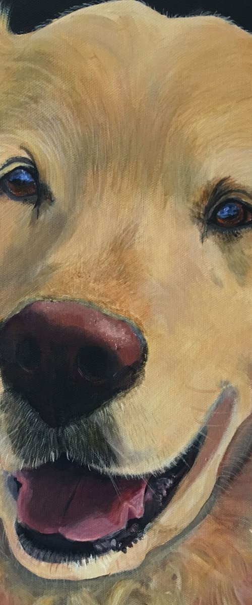 JAKE - RETRIEVER by ELAINE ASKEW