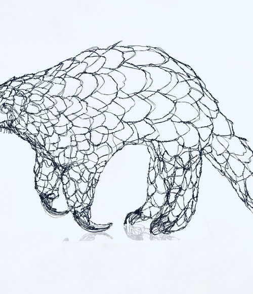 The Curious Pangolin by Jane Tilley