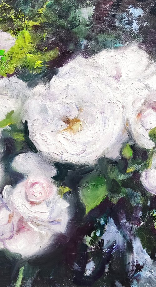 White Roses in Garten by HELINDA (Olga Müller)