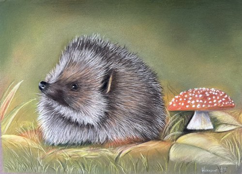 Hedgehog by Maxine Taylor