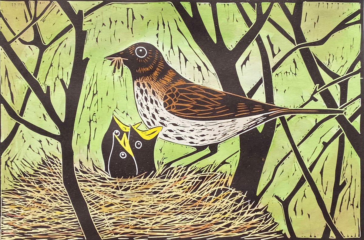 Nest of Thrushes. Limited edition handmade Linocut. Number 22 of 100 by Jane Dignum