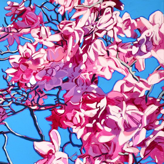 Pink Magnolia Blossom