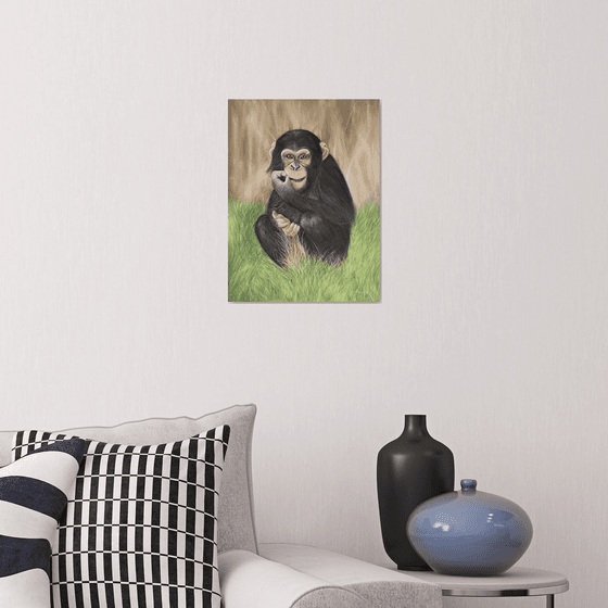 Cheeky chimp