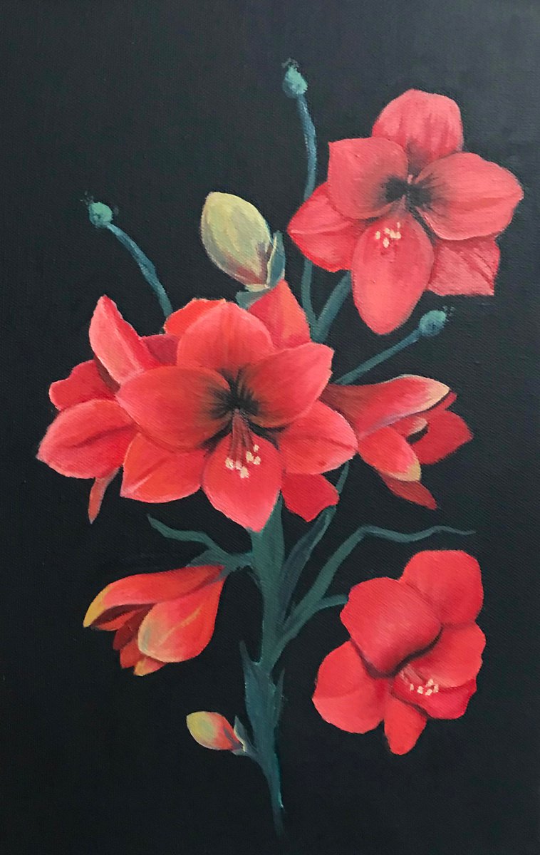 Amaryllis by Judy Pilarczyk