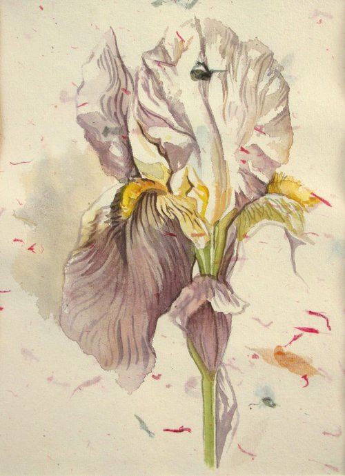 iris painting on hand made flower paper by Alfred  Ng