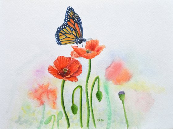 Monarch butterfly with poppies