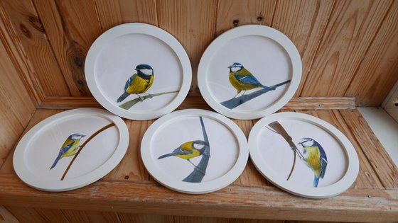 Framed Bird art. Blue tit. Part 1