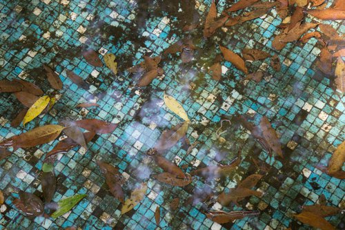 Leaves in tiled pool by James Gritz