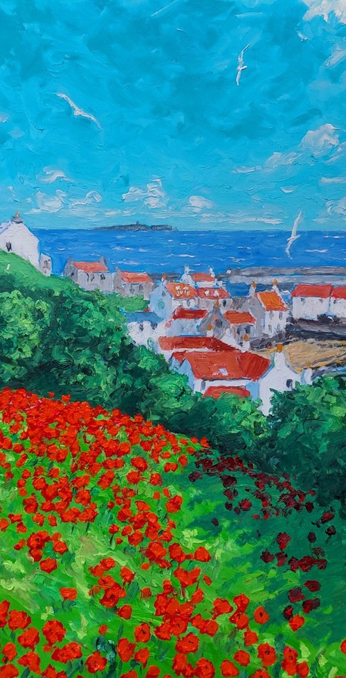 Wild poppies,  Pittenweem by Colin Ross Jack