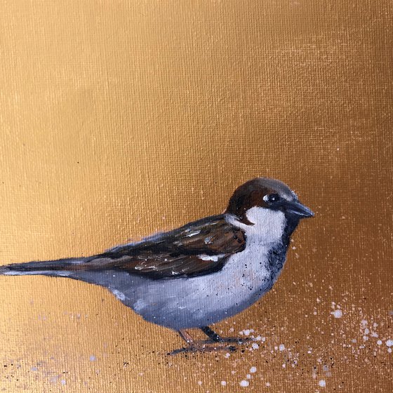 Garden Sparrow on Gold