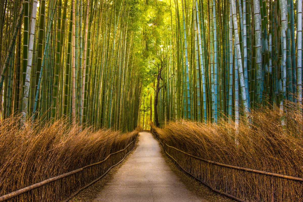 Photorealistic Landscape Photograph By Harv Greenberg, 36 X 24, Homeward Bound, Original Artwork